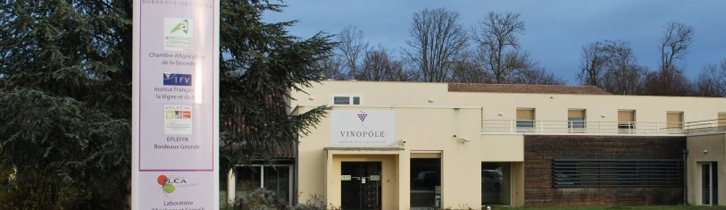 2012_vinopole (5)